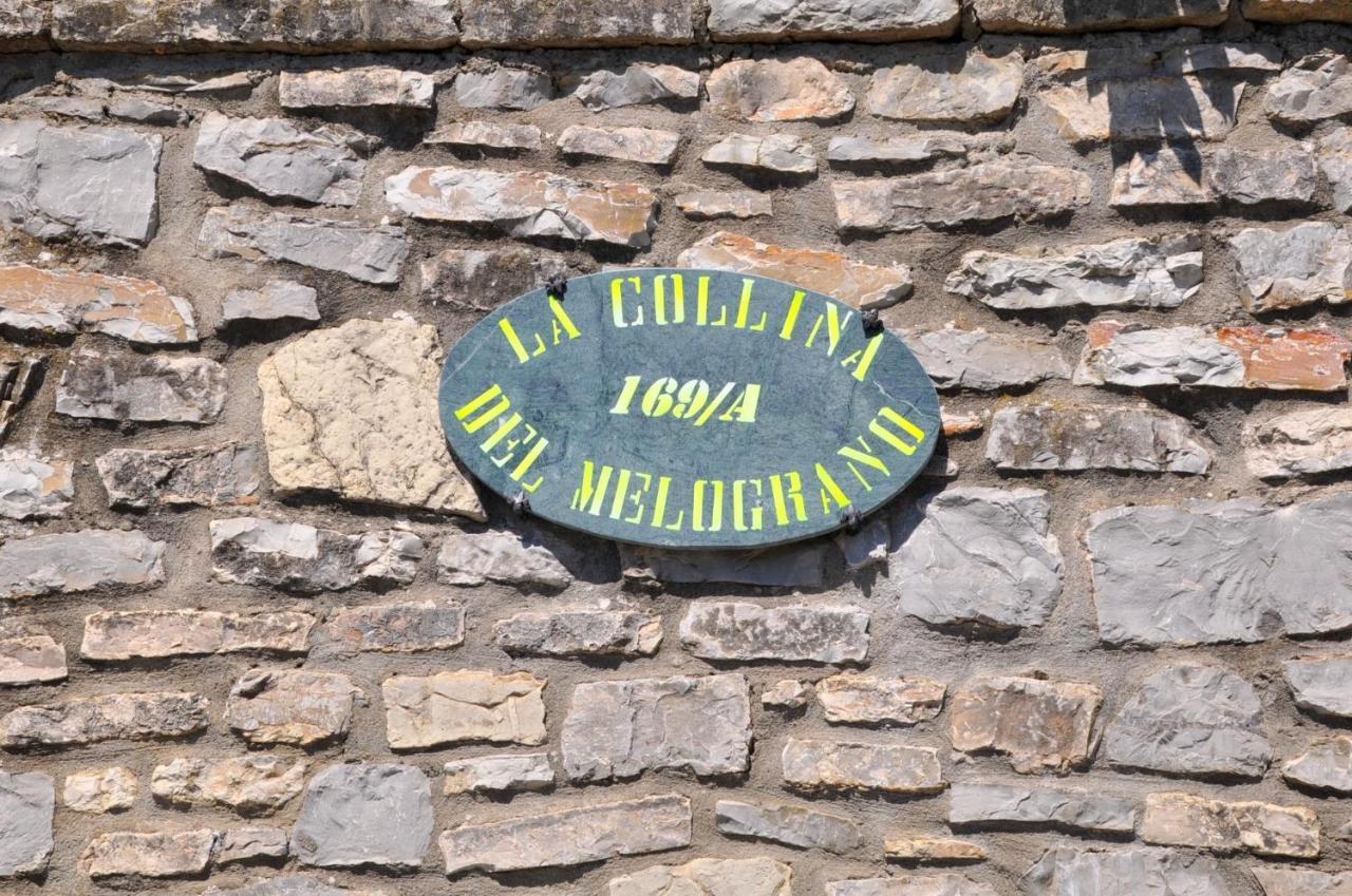 ホテル La Collina Del Melograno シナルンガ エクステリア 写真
